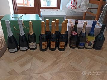 13 bottiglie di spumante