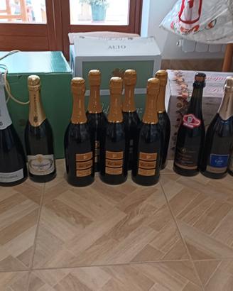 13 bottiglie di spumante