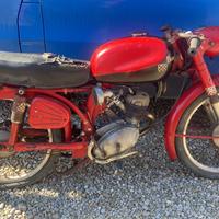 Benelli leoncino 125 s