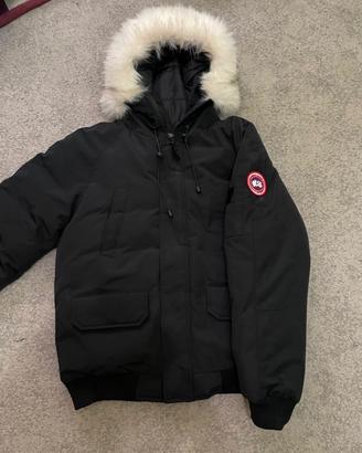 Canada goose nuovo