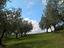 Immagine 5
