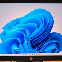 MONITOR HP 21 POLLICI