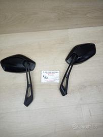 SPECCHIETTI XCITING 2007 2014 300i R N0351