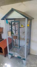 Gabbia voliera con 7 cocorite 