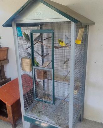 Gabbia voliera con 7 cocorite 