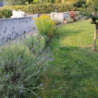 Sfalcio erba - Giardiniere