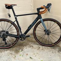 Wilier  Rave SLR con GRX 820 1x12 tg56/L