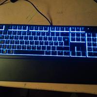 taste Razer ornata v3 X 