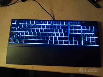 taste Razer ornata v3 X 