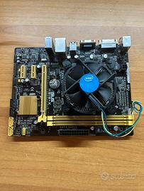 Intel i5 + ASUS H81M-K Scheda Madre