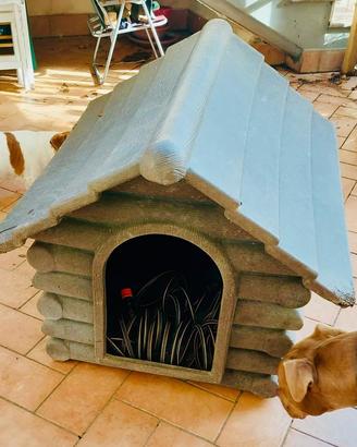 Cuccia per cani