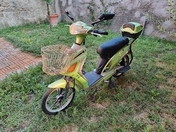 Bici elettrica pedalata assistita Selfaip Skyway