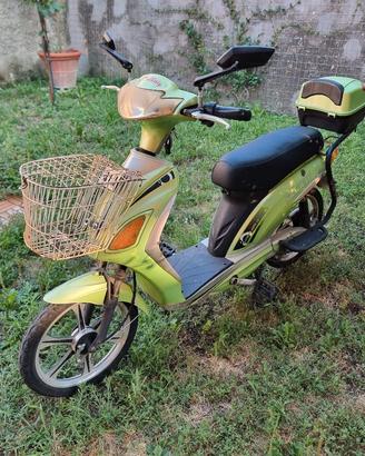 Bici elettrica pedalata assistita Selfaip Skyway