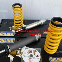 Bmw r 1200 gs - ammortizzatori ohlins kit esa