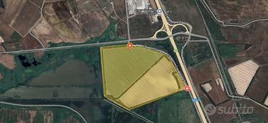 Terreno Agricolo - Santa Giusta (OR) - 23 ettari