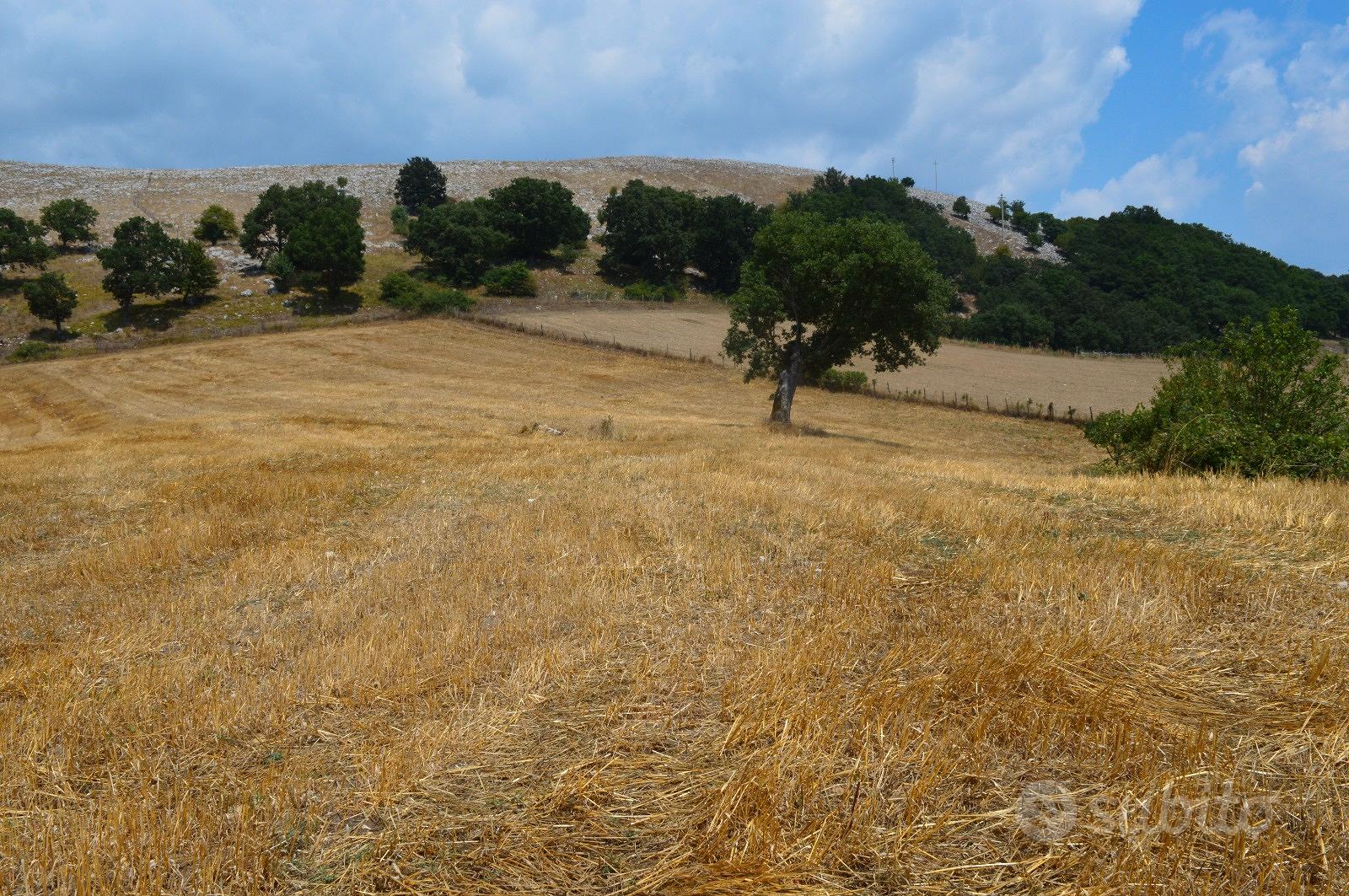 Proprietà in montagna - Vista 2