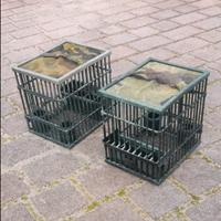 gabbietta per uccellini puccoli