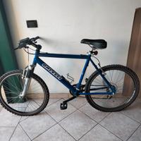 Bicicletta