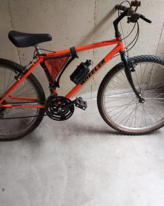 Mountain bike marca Wheeler serie professionale