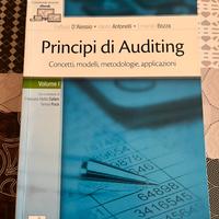 Principi di Auditing