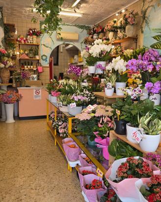 Attività/Licenza Commerciale di Fioreria