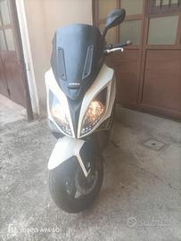 scooter kimko
