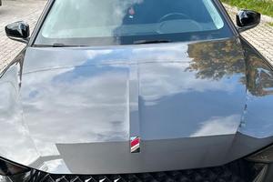 DS4 Performance Line