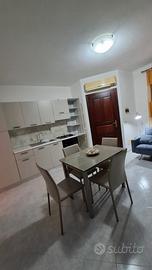 Bilocale zona Vittorio Veneto