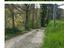 Immagine 16