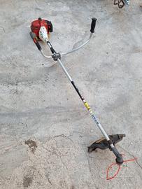 Taglia erba professionale 