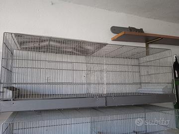 gabbie allevamento da 120