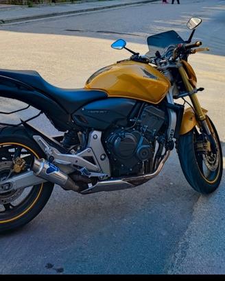 Telaietti Honda Hornet 600 2008 per borse laterali