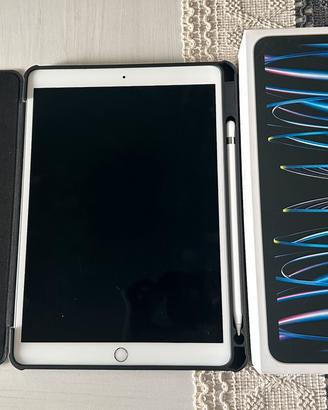 Ipad Pro 10.5 256 GB 2017