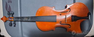 Violino