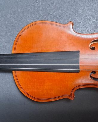 Violino