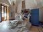 Immagine 16