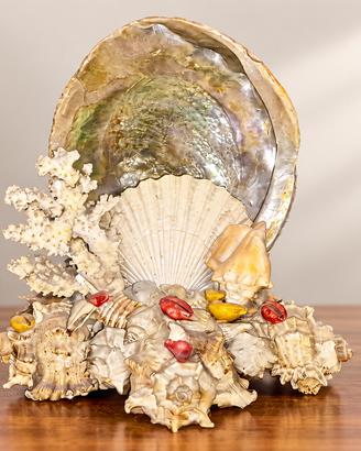 Decorazione marina con coralli e conchiglie