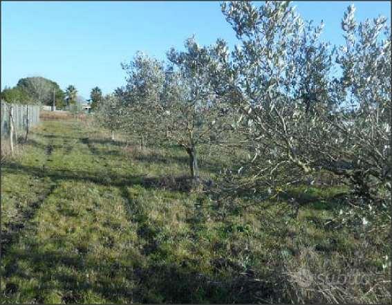 Terreno Agricolo a Latina - Vista 2