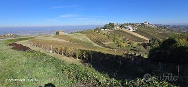 TERRENO AGRICOLO CIGOGNOLA VENDE