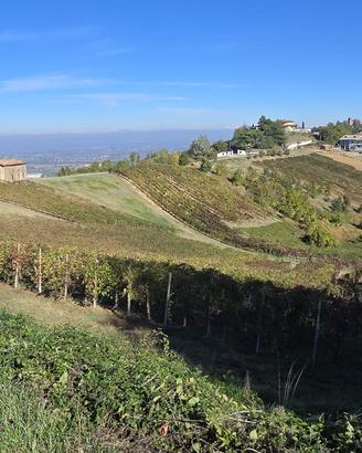 TERRENO AGRICOLO CIGOGNOLA VENDE
