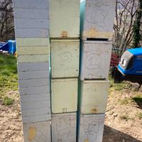 Arnie cassettino 6 telaini polistirolo