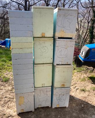 Arnie cassettino 6 telaini polistirolo