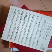 Vivaldi concerto in Re m