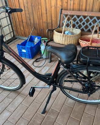 Bicicletta elettrica