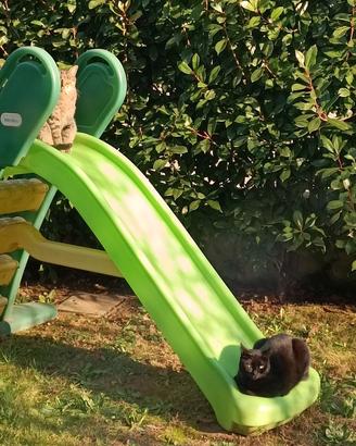scivolo bambini Little Tikes