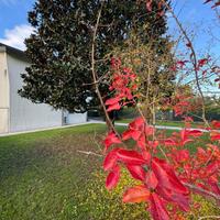 OLMO porzione di bifamiliare con giardino
