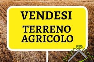 TERRENO AGRICOLO