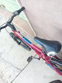 bicicletta 