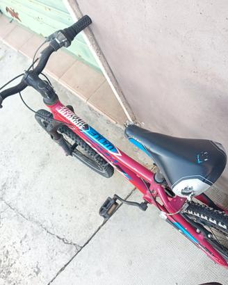 bicicletta 
