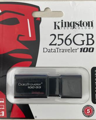 PenDrive Kingston DataTraveler 100 G3 - 256Gb